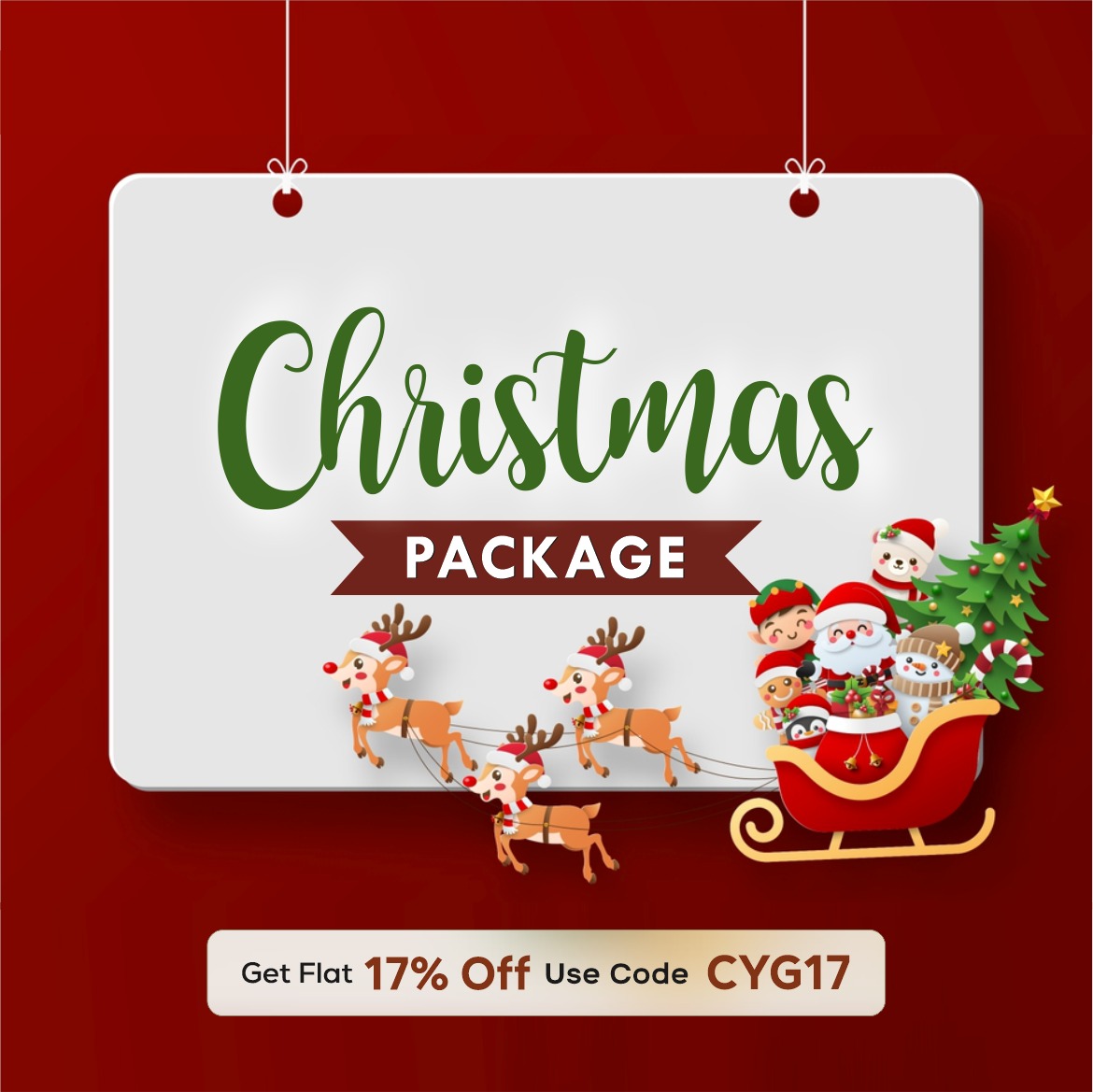 Festive Christmas Offer